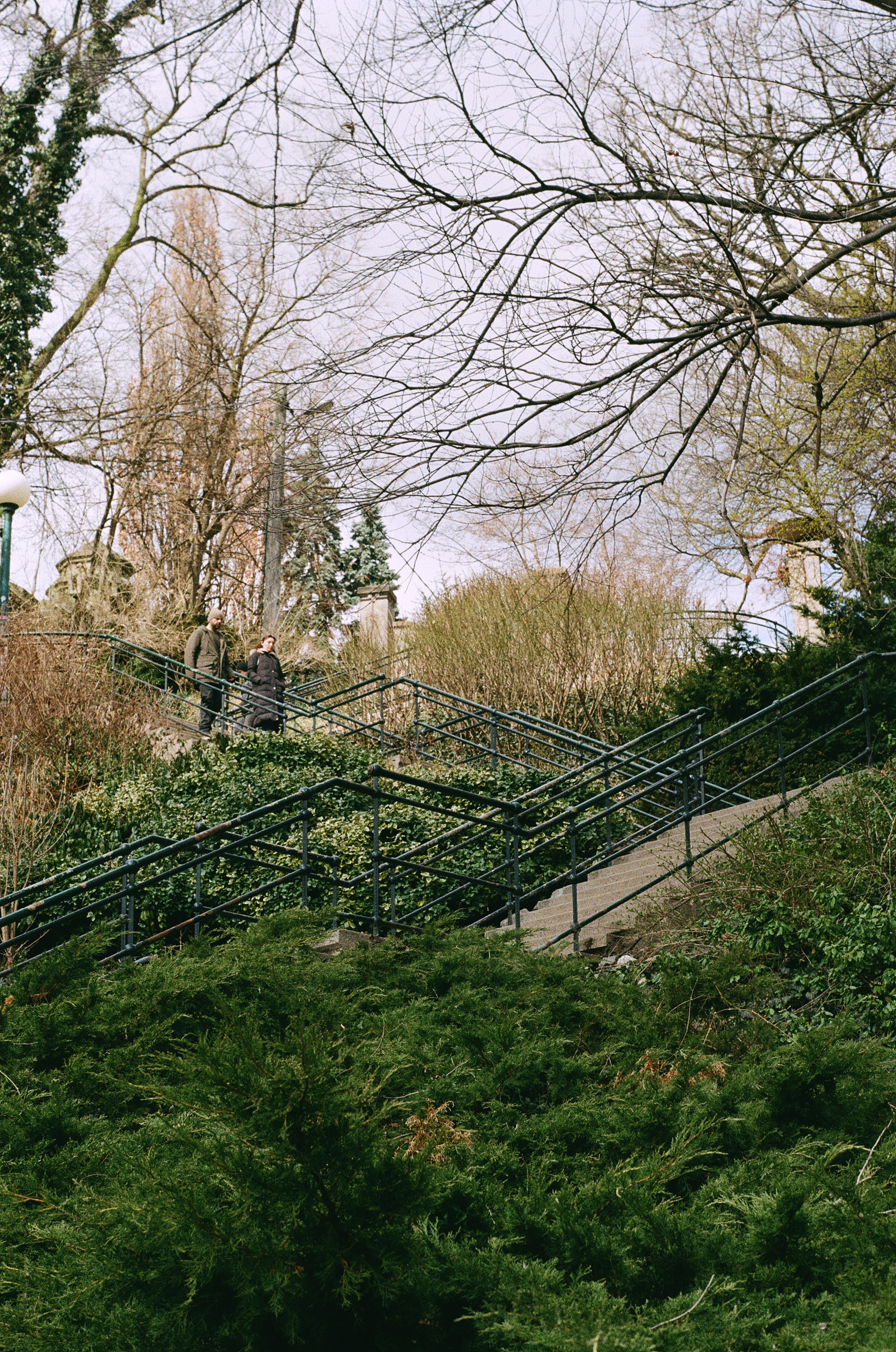 Looking up the Baldwin Steps