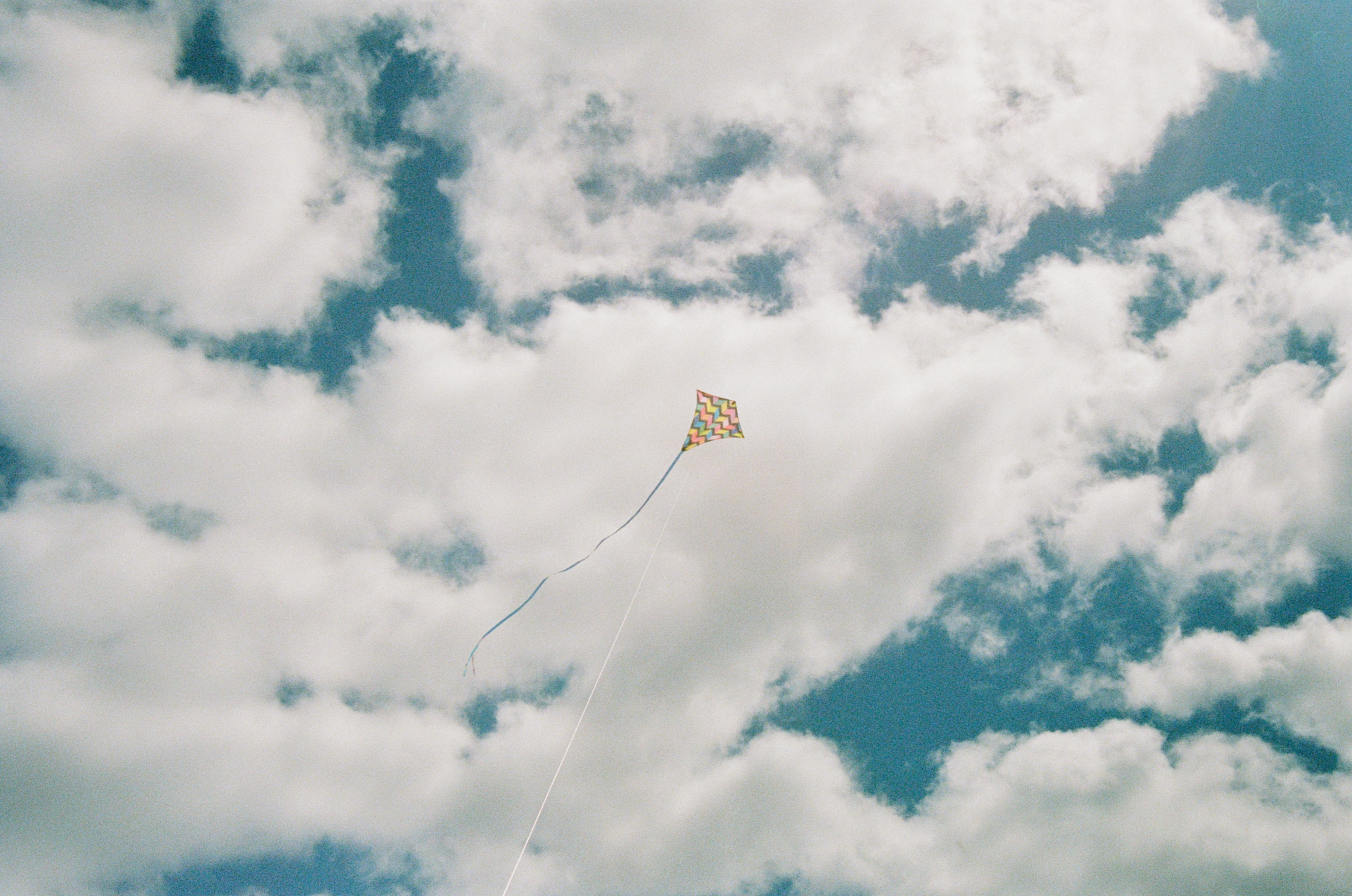 Kite in the sky