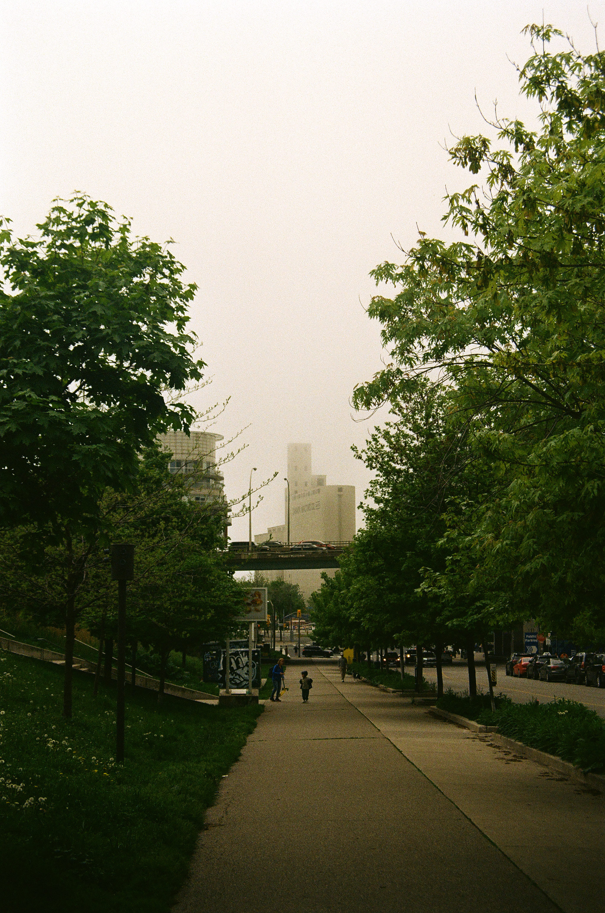 The Canada Maltin Silos visible through the fog