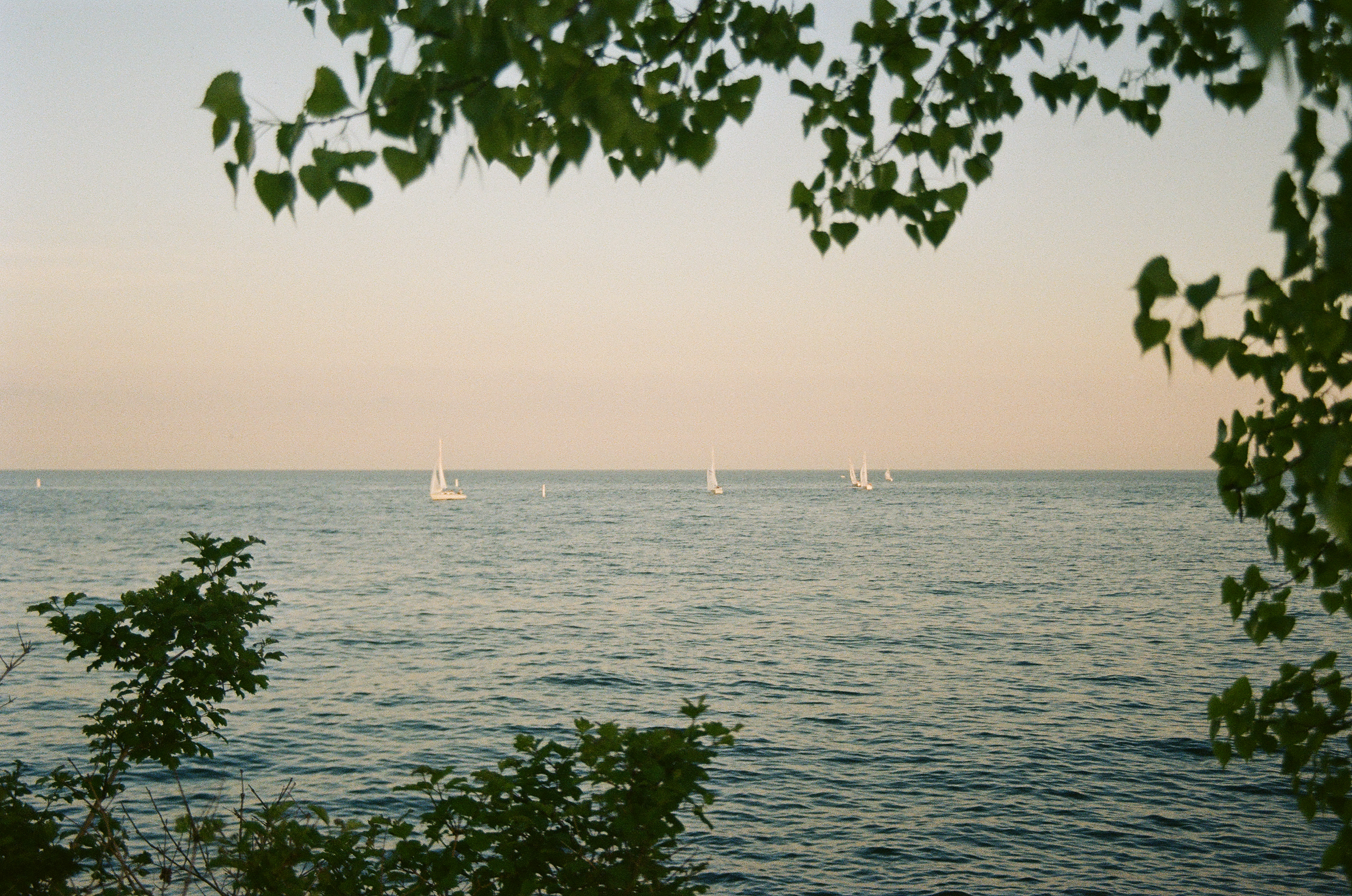 Sailboats on Lake Ontario