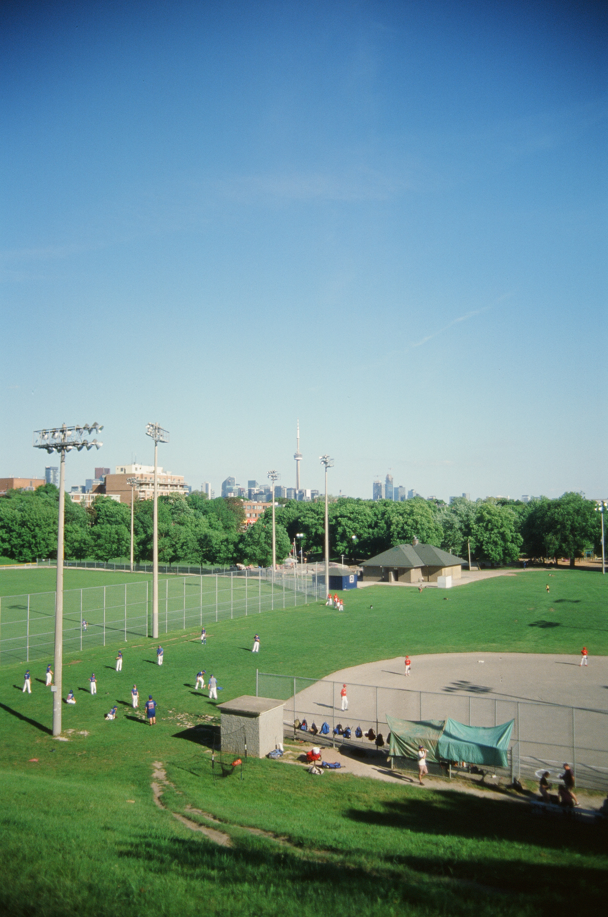 Baseball diamond with the CN tower in the background