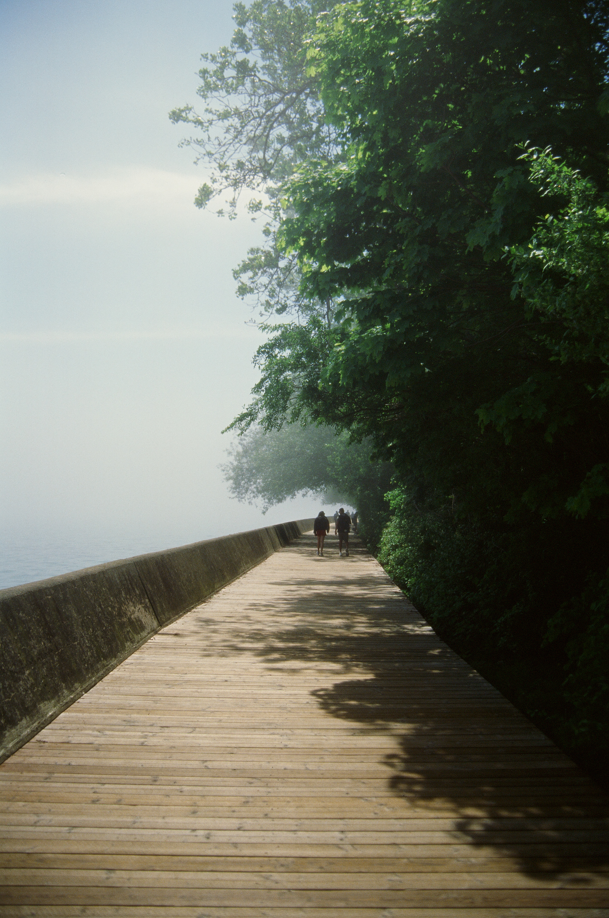 Boardwalk along the Ward Island shore